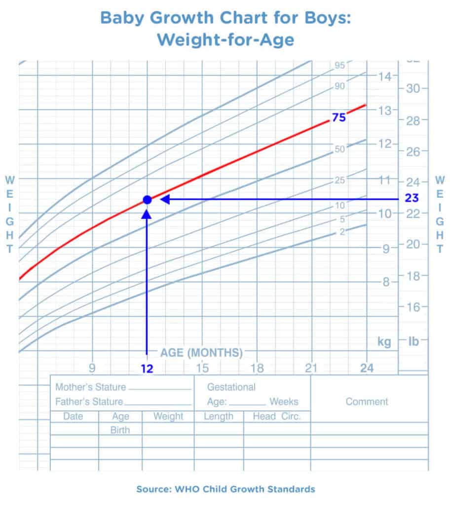 Baby Growth Chart for Boys-Weight for Age