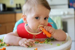 Organic Baby Foods