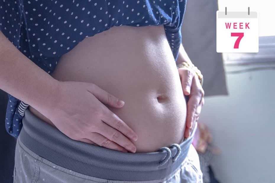 7 weeks pregnant