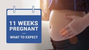 11 weeks pregnant