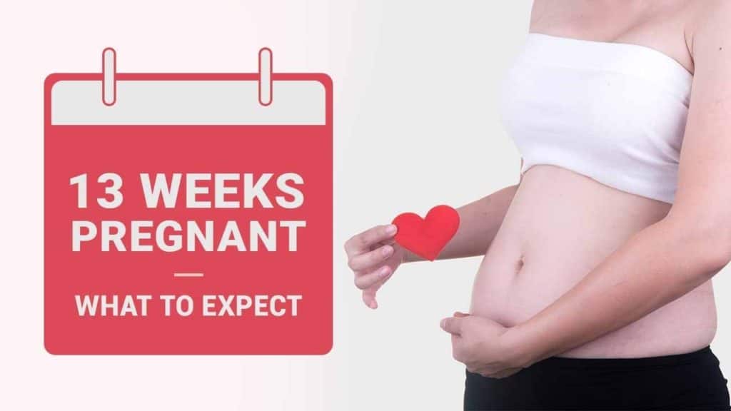 13 Weeks Pregnant