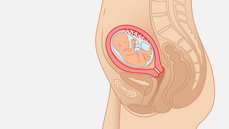 16 Weeks Pregnant Ultrasound