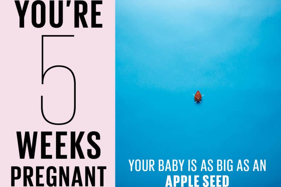 5 Weeks Pregnant