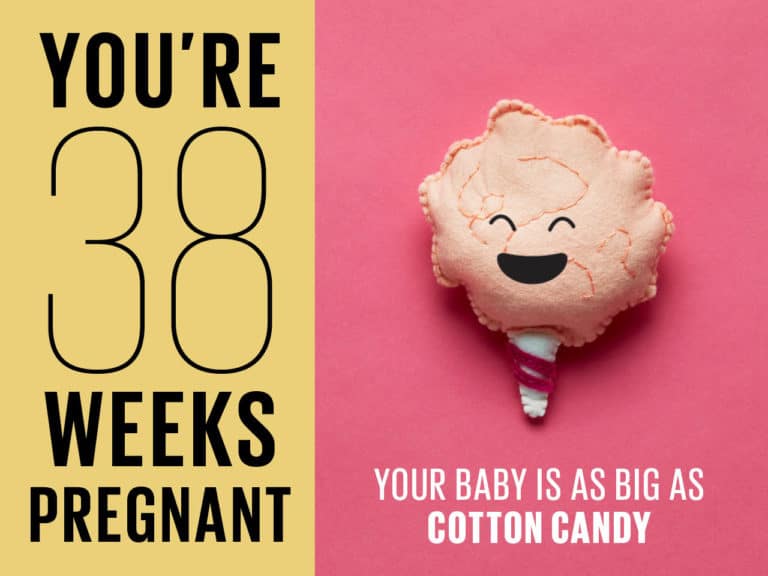 Main Page 155 38 Weeks Pregnant