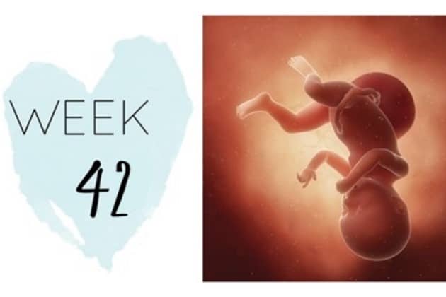 42 Weeks of Pregnancy