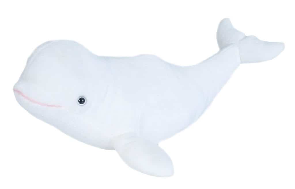Beluga Whale Symbolic Adoption Kit