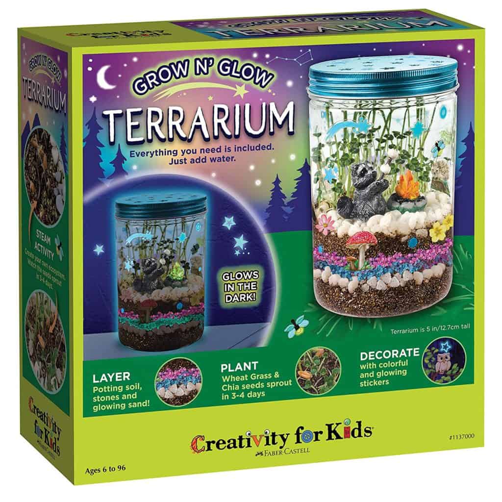 Grow ‘n Glow Terrarium