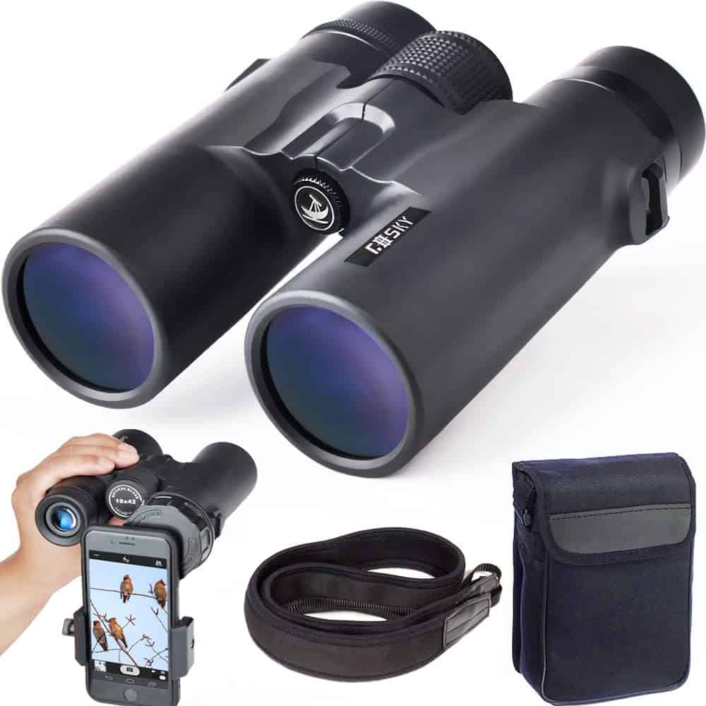 Magnification binoculars with smartphone mount