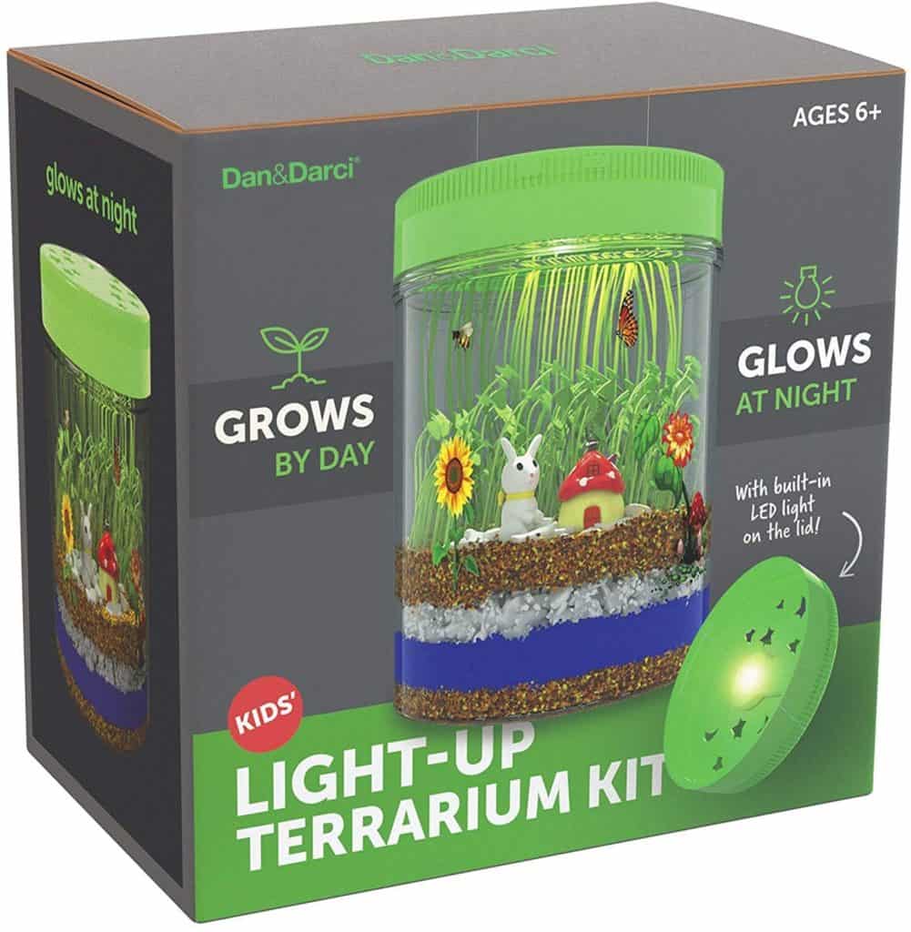 Mini Light-up terrarium kit