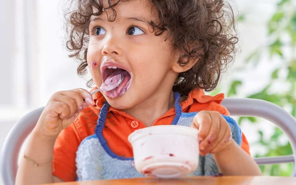 best yogurt for babies