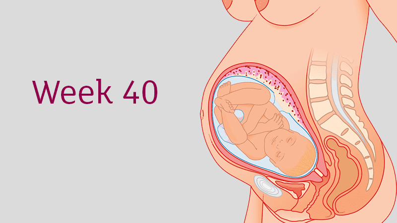 40 Weeks Pregnant