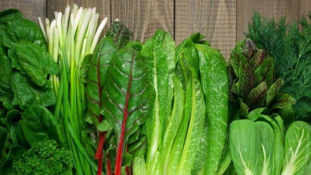 Dark Green leafy Vegetables