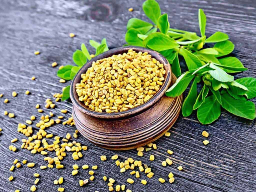 Fenugreek Parenthoodbliss