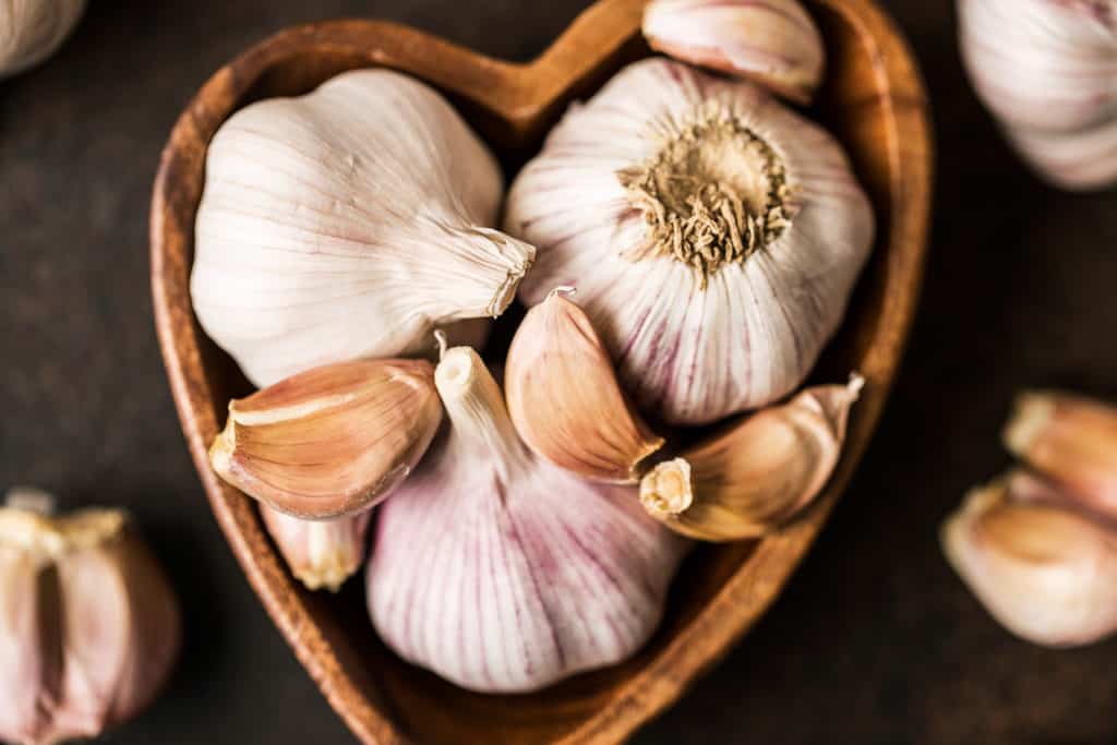 Garlic Parenthoodbliss