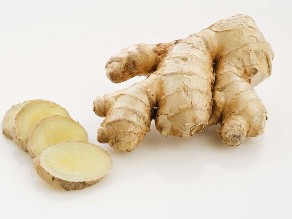 Ginger Root Parenthoodbliss