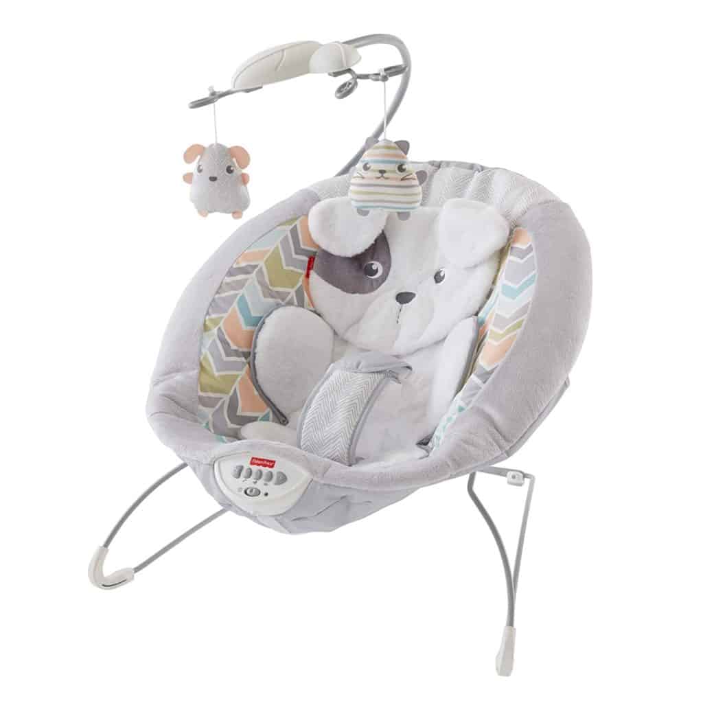 Fisher-Price My Little Snugapuppy Deluxe Bouncer (Best cozy bouncer)