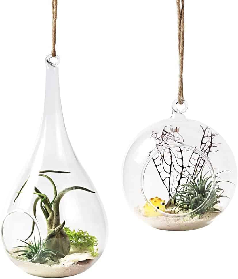 Mkono 2 Pack Glass Hanging Planter Air Fern Holder