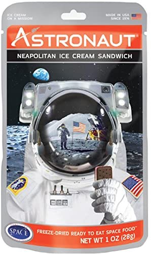 Astronaut Ice Cream - best gifts for a 14-year-old boy