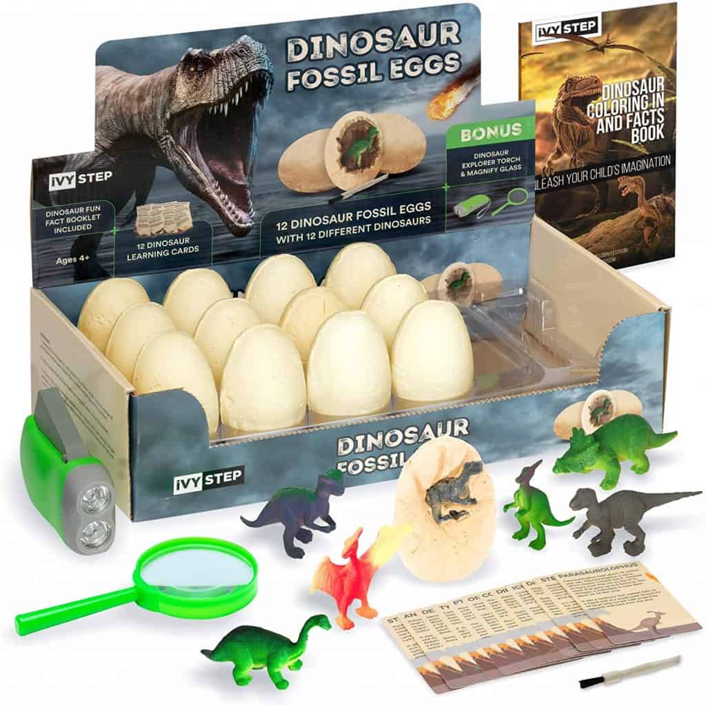 IVY Dinosaur Fossil Kit - Best Gifts For 6-Year-Old Boy