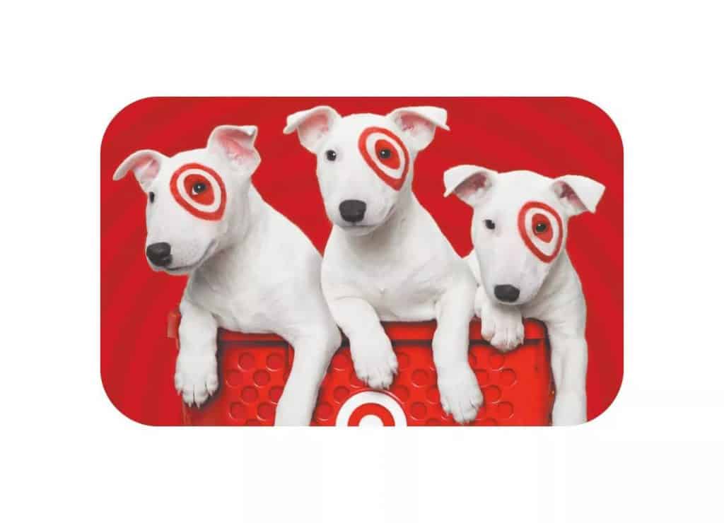 Target Gift Card - best gifts for a 16-year-old boy