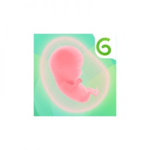 17 Best Free Pregnancy Apps Of 2025- Your All-In-One Guide! 6 Glow Nurture