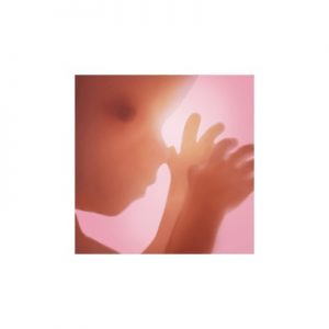 17 Best Free Pregnancy Apps Of 2025- Your All-In-One Guide! 10 Pregnancy+