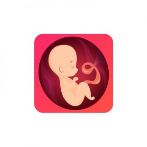 17 Best Free Pregnancy Apps Of 2025- Your All-In-One Guide! 14 Pregnancy Due Date Tracker