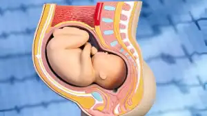 Pregnancy 67 Tilted Uterus Pregnancy Symptoms, Risks & Diagnosis