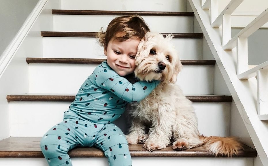 Best Pets For Kids