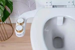 Top 18 Christmas Gifts for New Moms In 2025 7 Omigo Element + Bidet