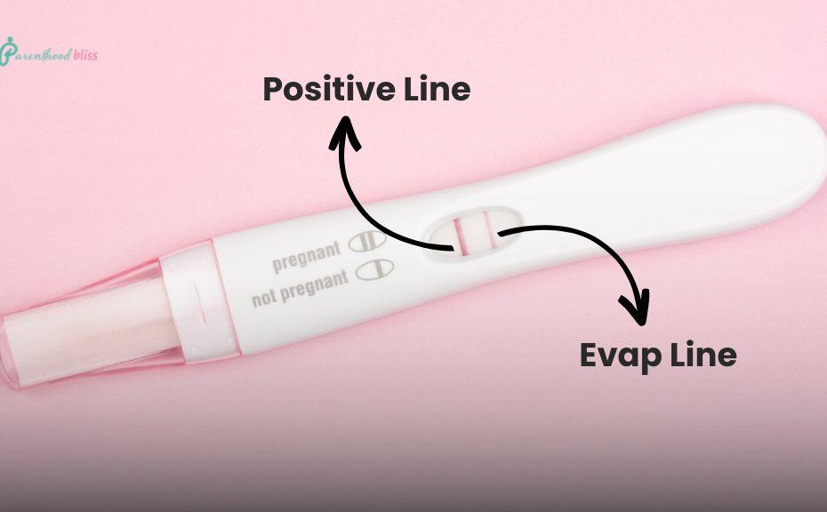 What is a Pregnancy Test Evaporation Line