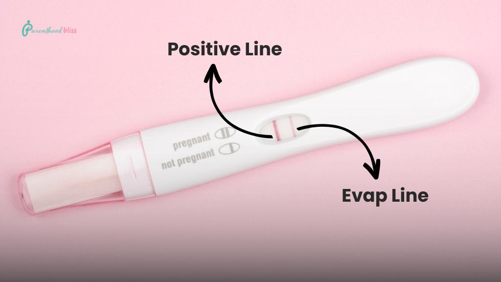 What is a Pregnancy Test Evaporation Line