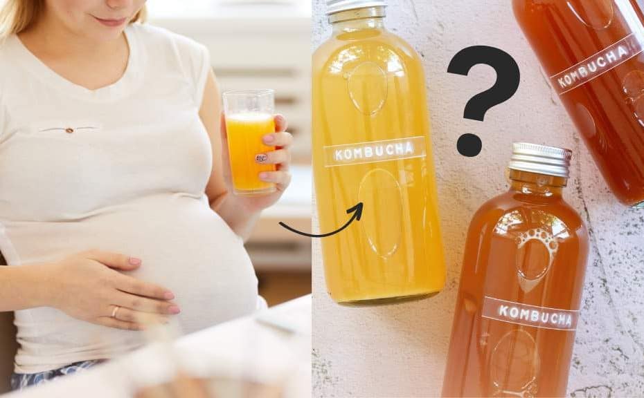 Can You Drink Kombucha While Pregnant 1 1 Parenthoodbliss