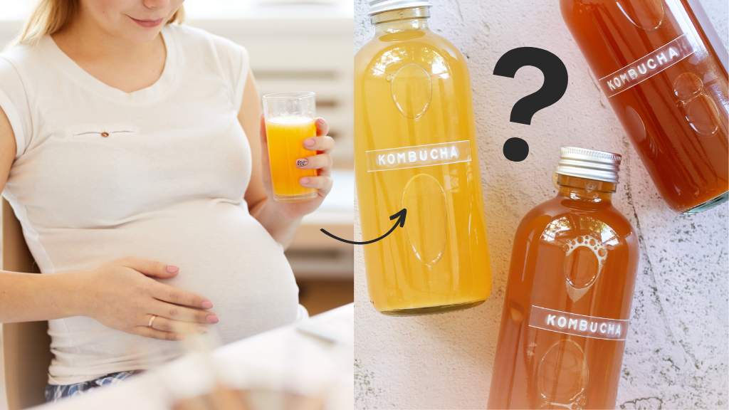 Can You Drink Kombucha While Pregnant 1 1 Parenthoodbliss