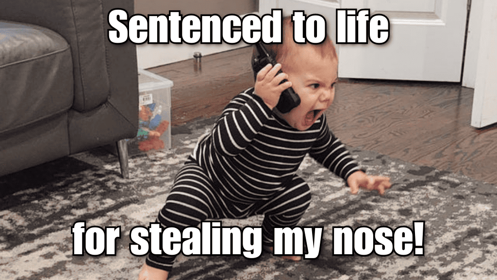 Sentenced to life for stealing my nose!