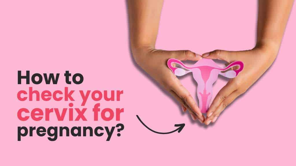 How to Check Your Cervix for Pregnancy