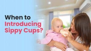 when to introduce sippy cup